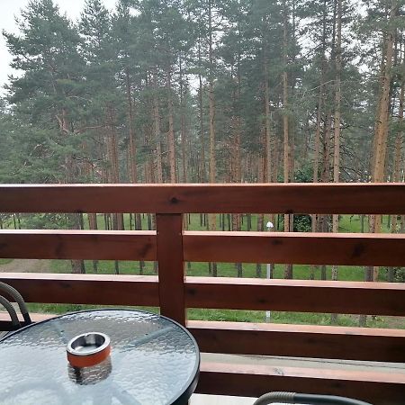 Apartman Nele Златибор Екстер'єр фото